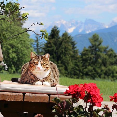 Niederhaeusererhof Falzes Exterior foto