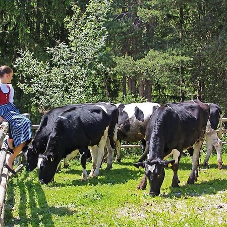 Niederhaeusererhof Falzes Exterior foto