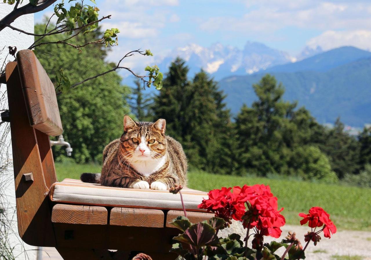 Niederhaeusererhof Falzes Exterior foto