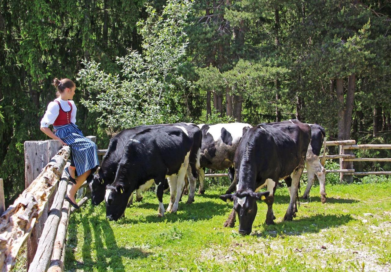 Niederhaeusererhof Falzes Exterior foto