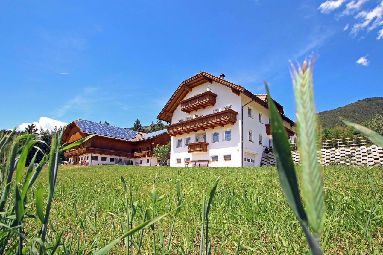 Niederhaeusererhof Falzes Exterior foto